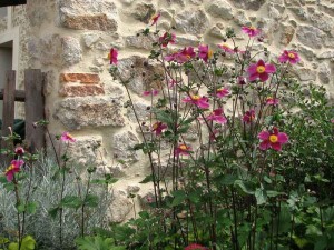 country cottage with indoor pool France patio flowers