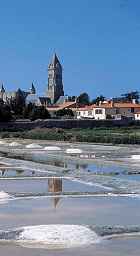 Visiting attractions in France salt marshe