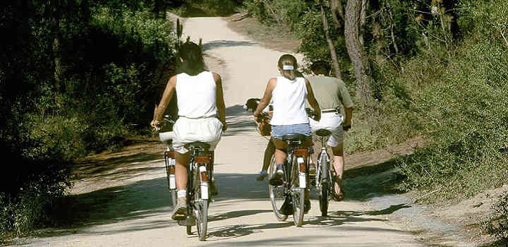 Location vacances gîte avec piscine intérieure en Vendée: randonnées à vélo autour de l'hébergement