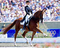 Haras de la Vendée La Roche sur yon, le cheval danse