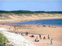 Tourisme Vendée à Longeville sur Mer et Angles, les plages