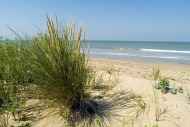 Vacances directes en Vendée près de Saint Jean de Monts et ses plages
