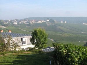 La Champagne au petit matin