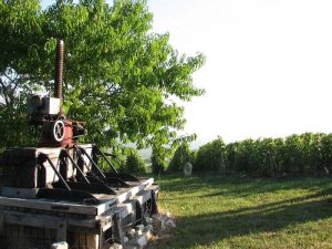 Ancien pressoir en Champagne