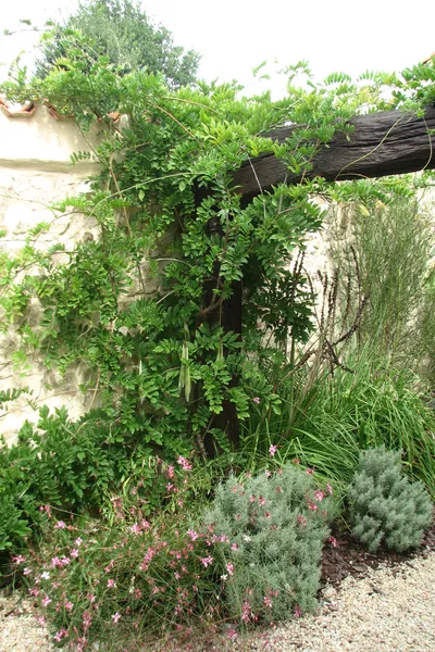 Le patio paysagé d'Abélia Gîte Vendée